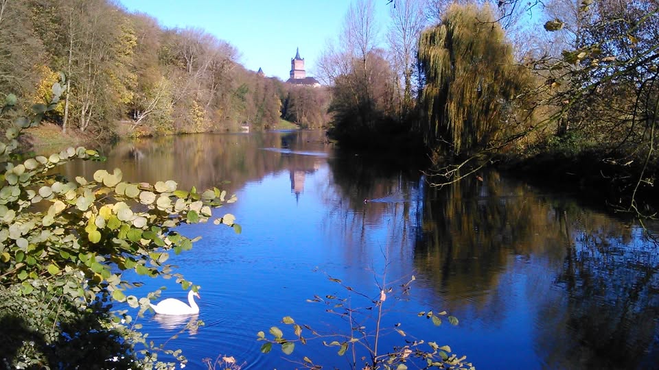 Hội du học sinh Đức