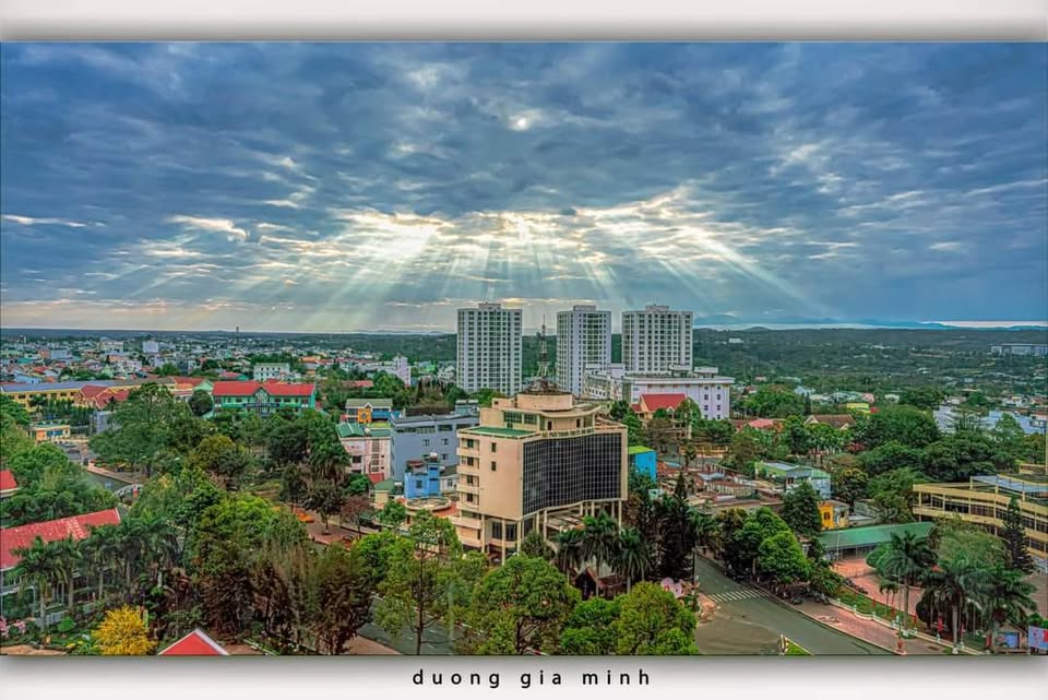 CHUYÊN SỈ HẠT KONIA RỪNG RANG CỦI TÂY NGUYÊN