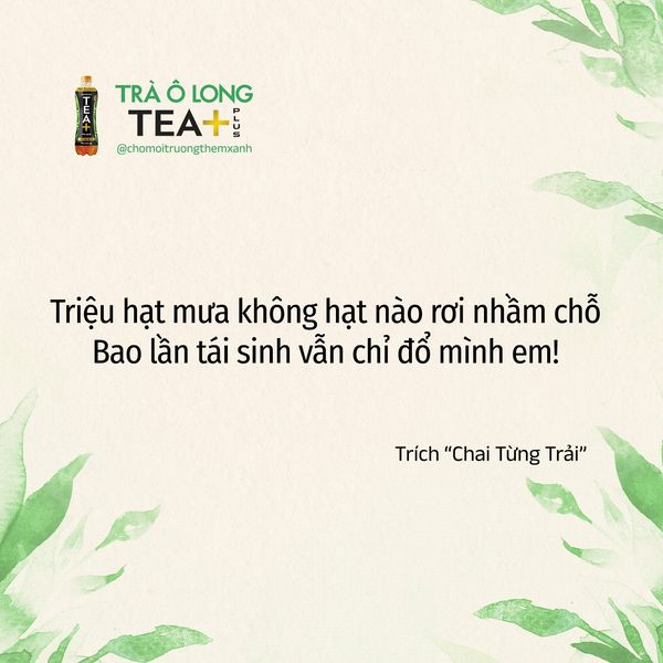 Trà Ô Long TEA+