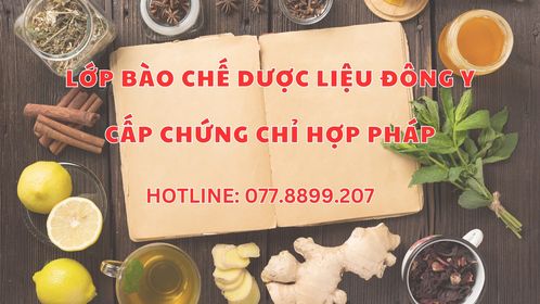 Học Châm Cứu Bấm Huyệt Ở TPHCM