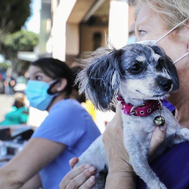 The Wall Street Journal