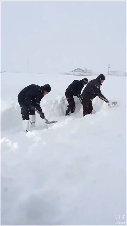 Cộng đồng người Việt ở Nhật