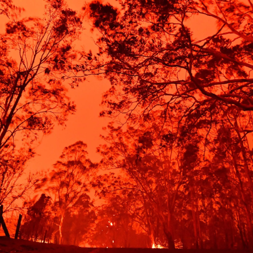 Cộng Đồng Người Việt Tại Úc