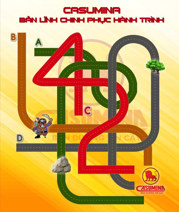 Casumina - Việt Nam