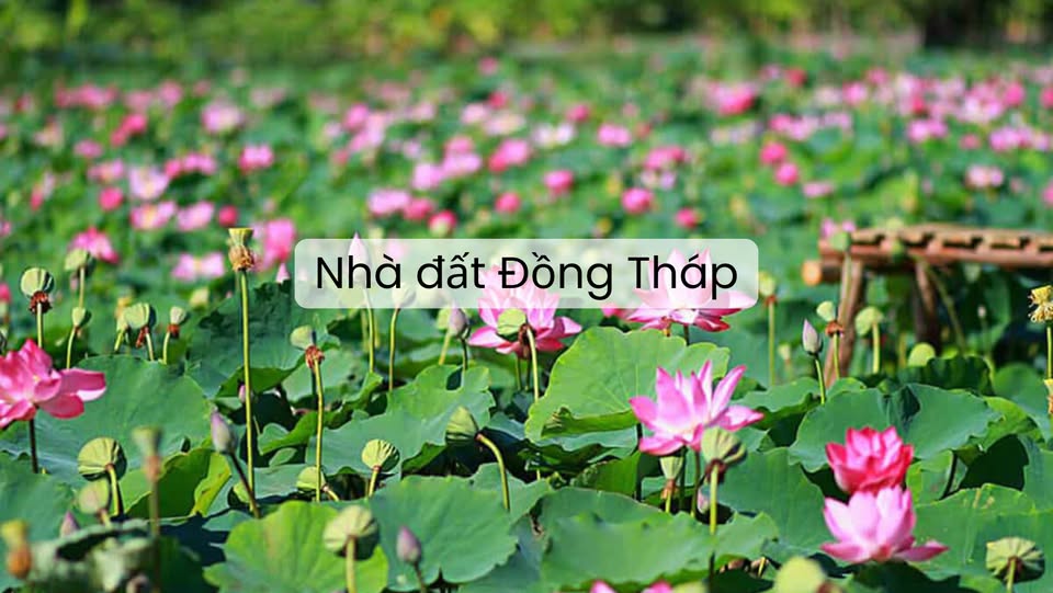 Nhà Đất Đồng Tháp - Nhadat.land