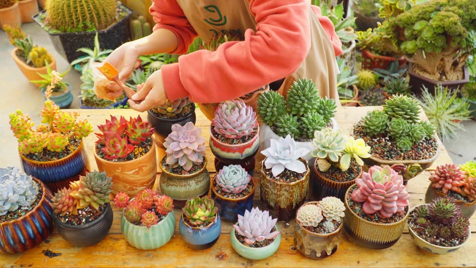 Con là tất cả