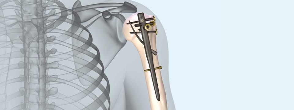 Orthopaedic Academic