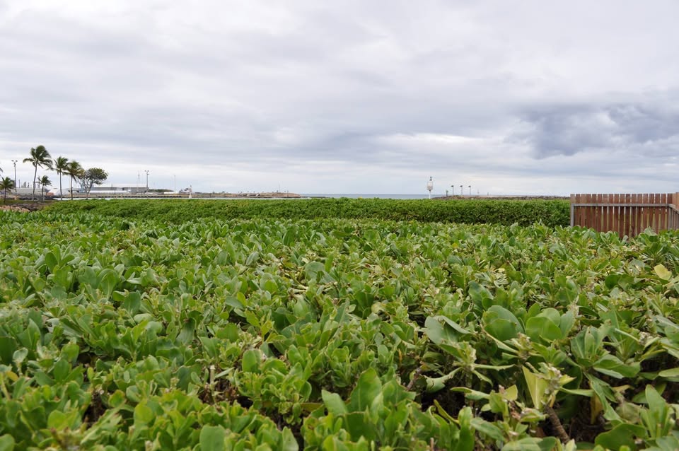 300 Leads A Day Automated Marketing System