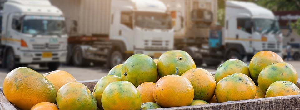 Nông Sản Xuất Khẩu