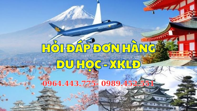 Săn hàng Authentic giá rẻ: HM - NEXT - ZARA - GAP - MLB - NIKE - ADIDAS