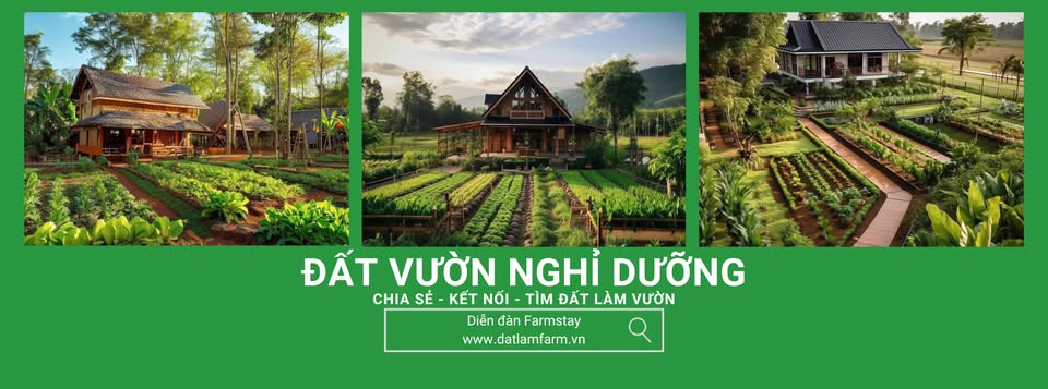 ĐẤT VƯỜN NGHỈ DƯỠNG