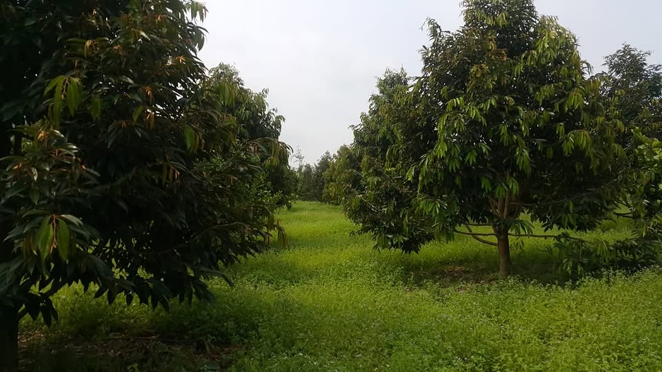 Mua Bán Nhà Đất Đa Huoai Lâm Đồng - Đồng Nai giá chính chủ