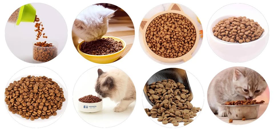 Nguồn Sỉ Thức Ăn Phụ Kiện Cho Pets