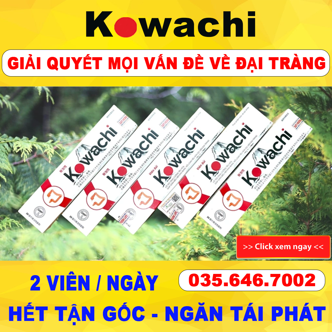 Viên Sủi Đại Tràng Kowachi Nhật Bản Chính Hãng