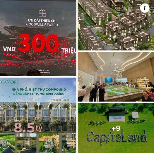 The Sycamore Capitaland - Khu Compound Cao Cấp Nhất Bình Dương
