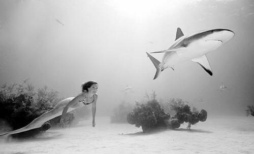 Chứng khoán cộng sinh