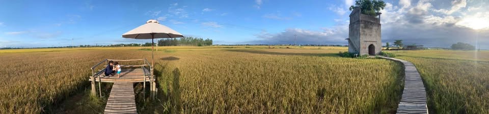 Bé Thơ Shop-Chuyên quần áo trẻ em