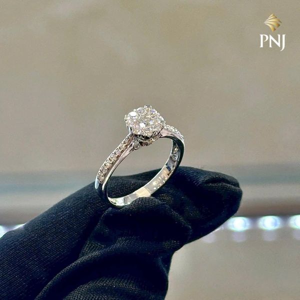 PNJ 88 Song Hành, Thủ Đức