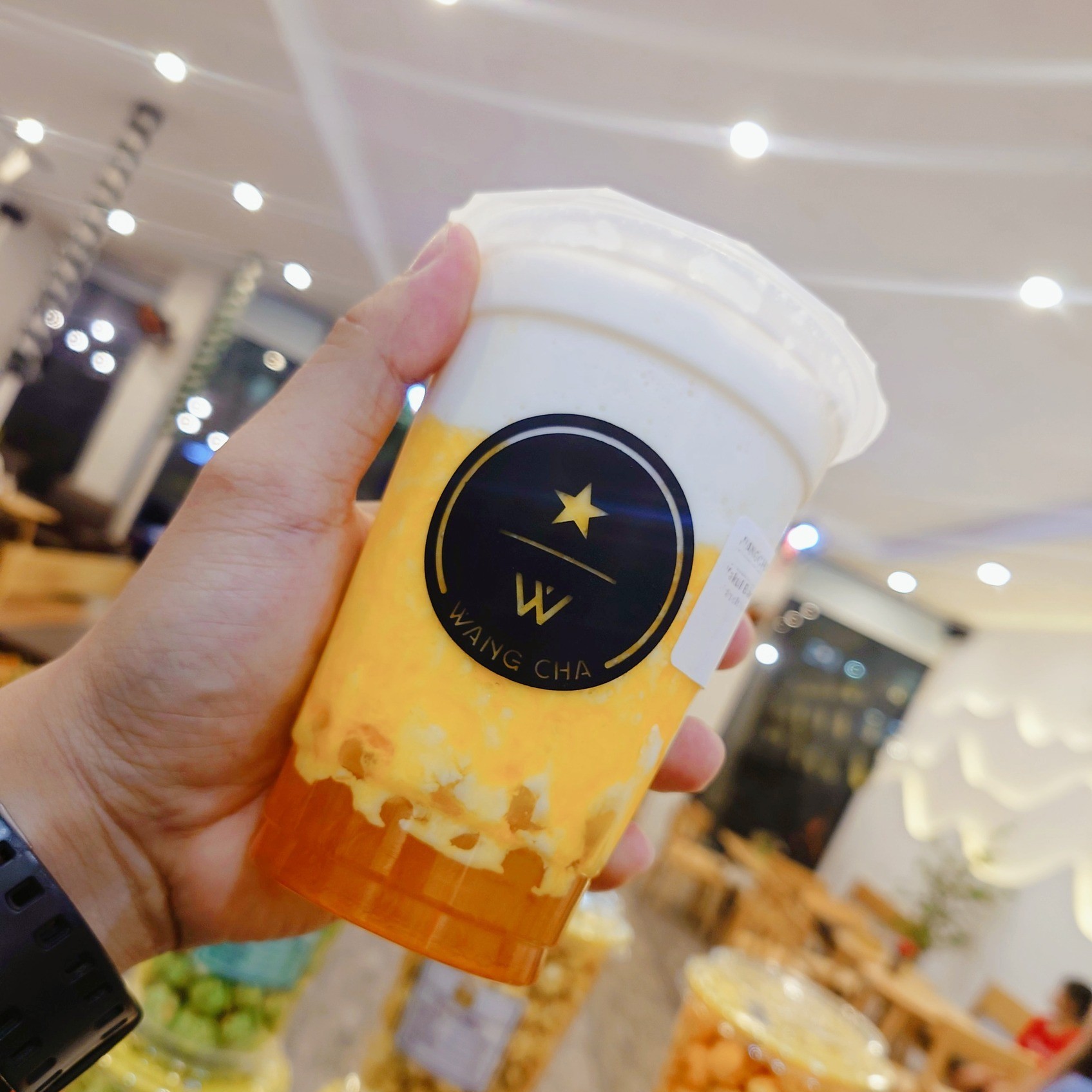 WangCha Việt Trì