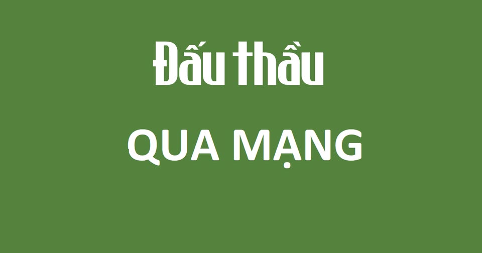 Đấu thầu qua mạng