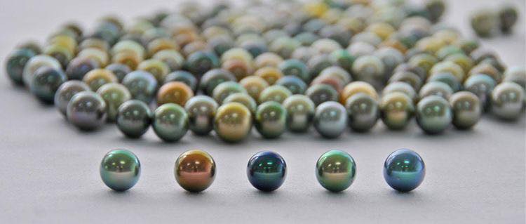 HỘI MUA BÁN NGỌC TRAI