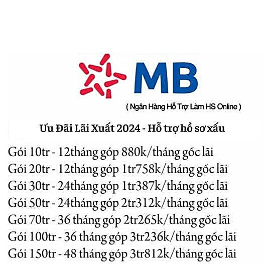 Tư Vấn Viên - Đỗ Lệ Loan