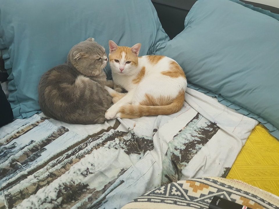 Việc làm, tuyển dụng tại Cần Thơ