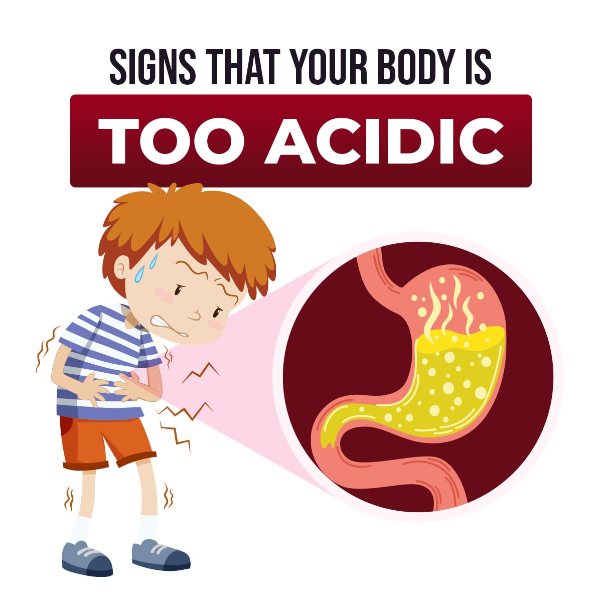 Wellness Guide