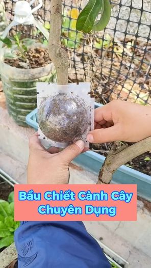 TV - Gia Dụng Thông Minh