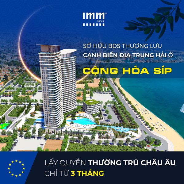 IMM GROUP