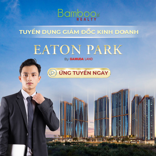 Bamboo Realty Tuyển Dụng