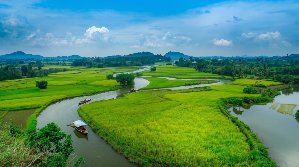Tôi Là Dân Đồng Tháp ✅