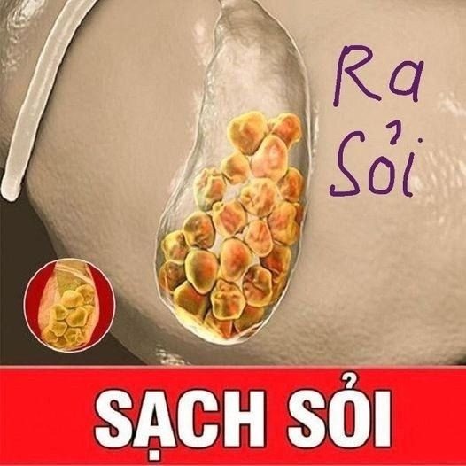 Tin Tức Sức Khỏe 24h