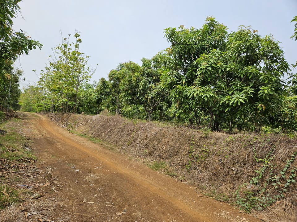 ĐẤT VƯỜN ĐỒNG NAI Chính chủ