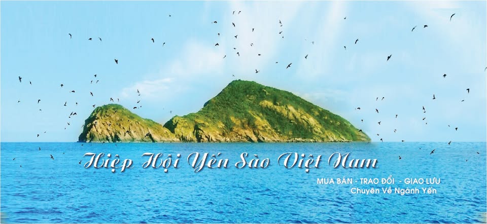 * Hiệp Hội Yến Sào Việt Nam *