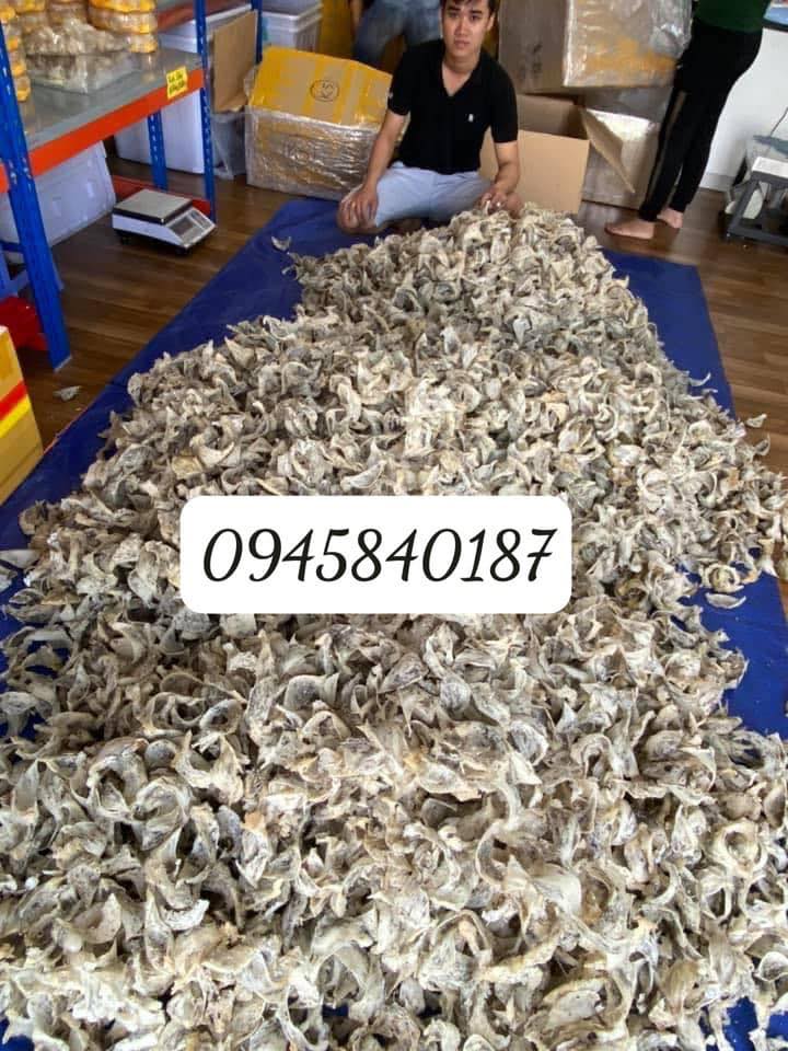 Hội Yến sào Tp.HCM