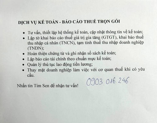 Tim Sen -  Dịch Vụ Thuế, Kế Toán Tuân Thủ, Bảo Mật