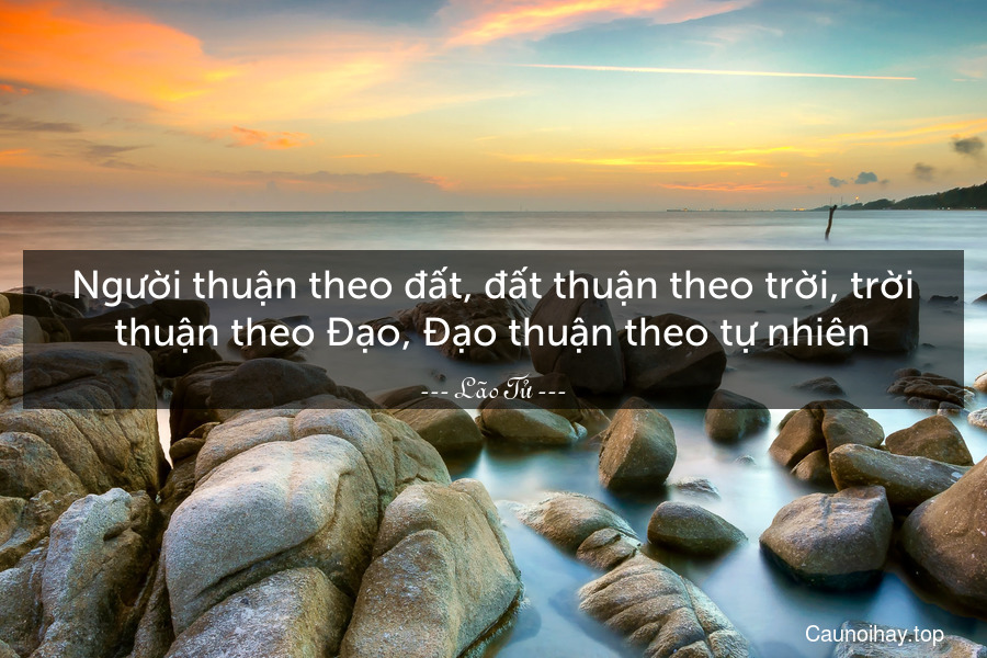 Thuận theo tự nhiên xóa bay trầm cảm stress tiêu cực