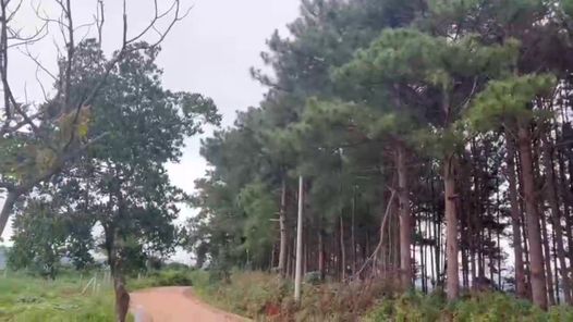 Đất Ven Đà Lạt