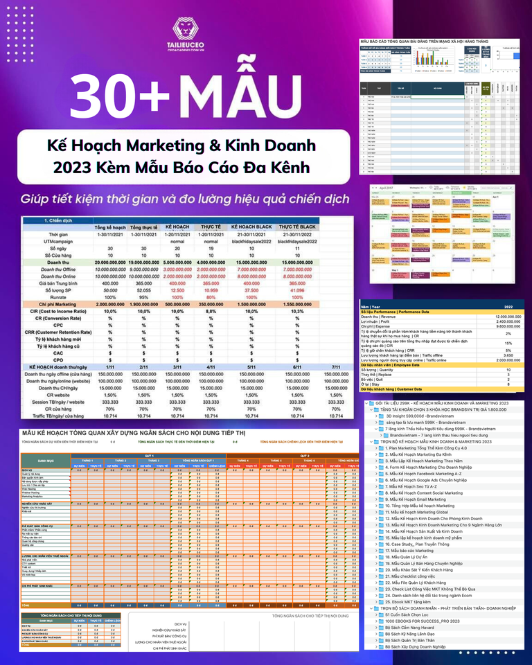 Tài Liệu Doanh Nhân Ceo Việt Nam - CeoAcademy.com.vn