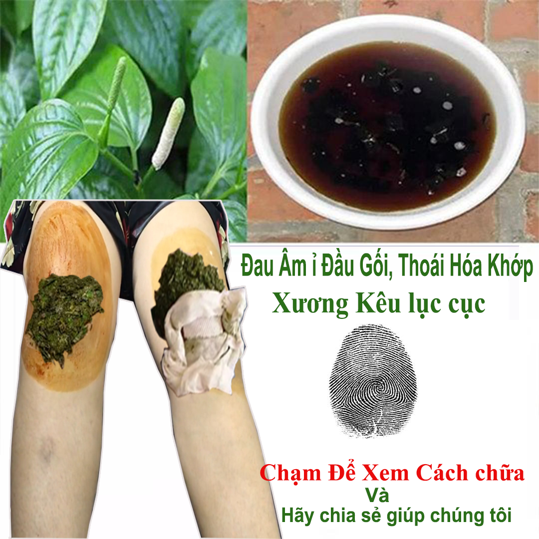 Đông y cổ truyền Việt Nam