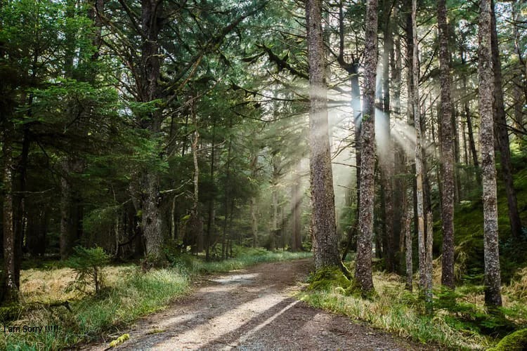 Hội chia sẻ kiến thức chữa bệnh tiểu đường, huyết áp, tim mạch