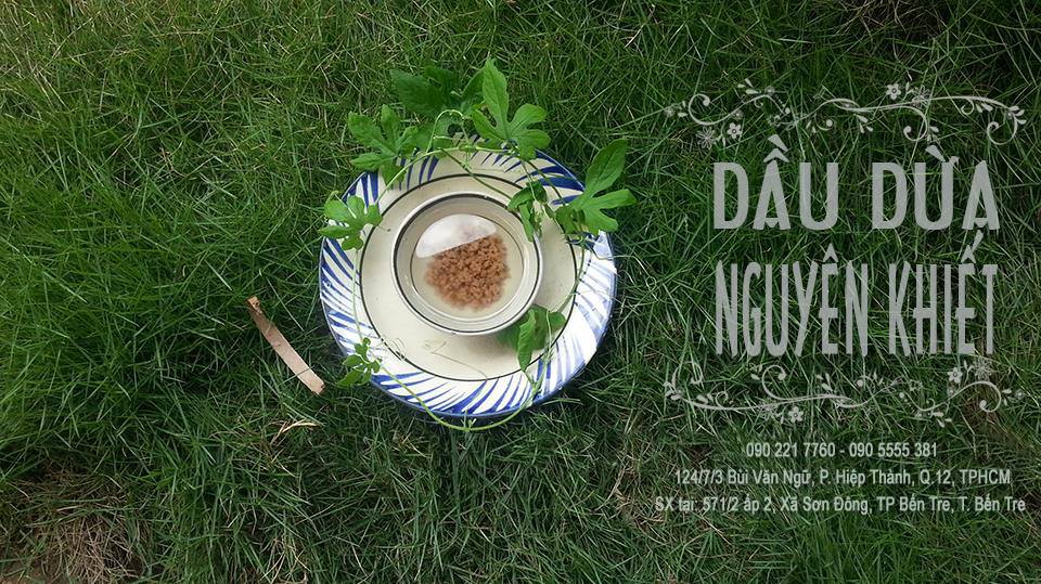 Dầu dừa nguyên chất