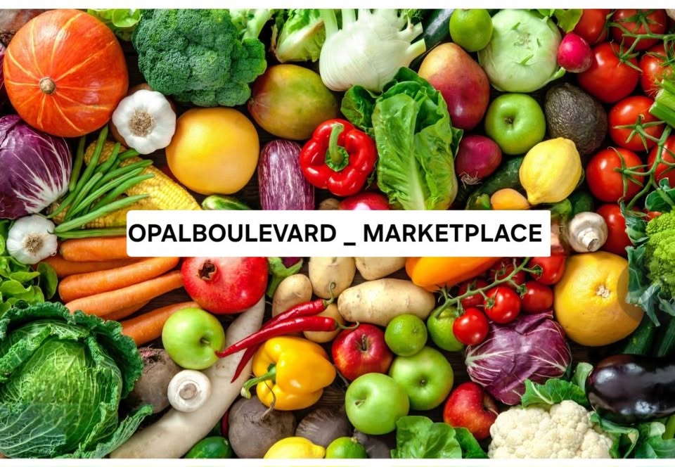 Opal Boulevard Đất Xanh SMART- Cộng Đồng Cư Dân