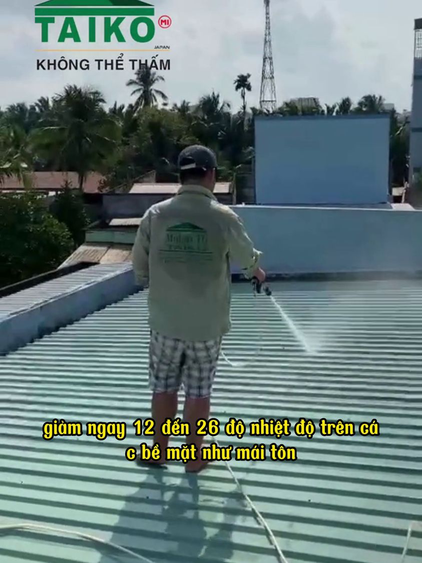 Sơn Chống Nóng Chống Han Gỉ Cao Cấp TAIKO JAPAN