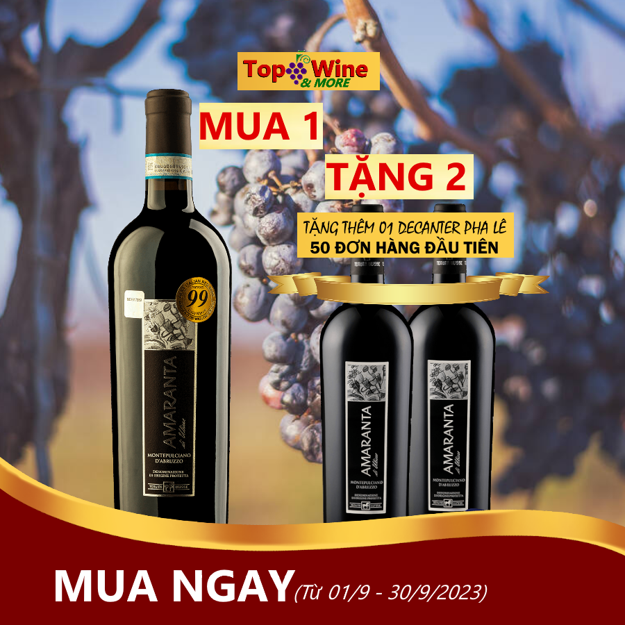 Top Wine & More
