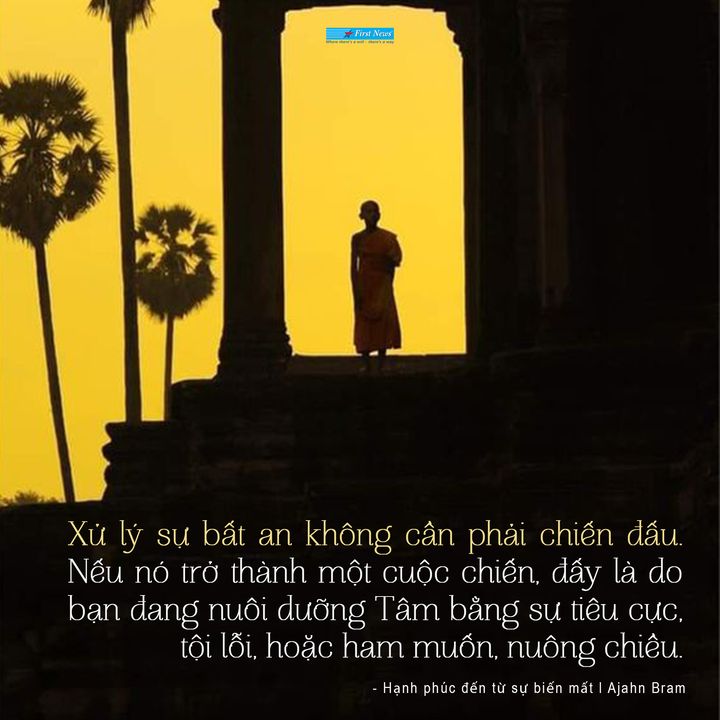 First News Trí Việt