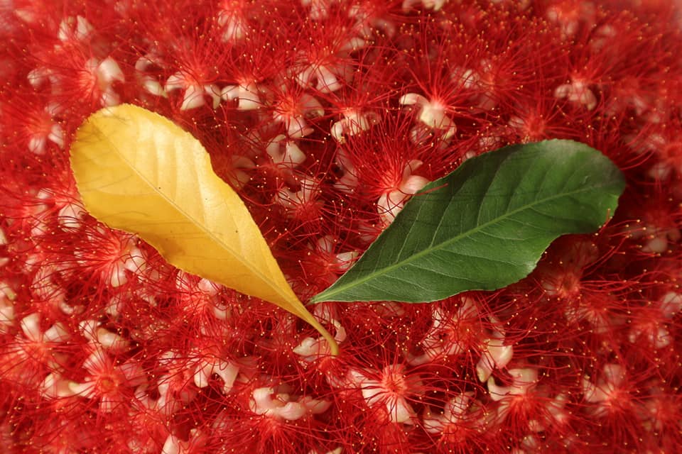 Việc làm IT Việt Nam