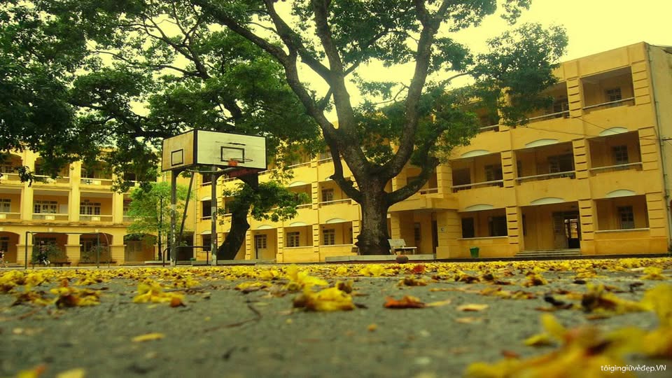 Hội phụ huynh TP. Hồ Chí Minh (Nhóm chính thức)