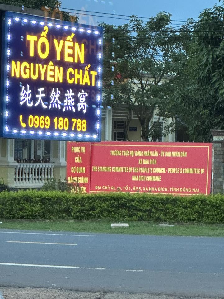 TỔ YẾN SÀO VIỆT NAM